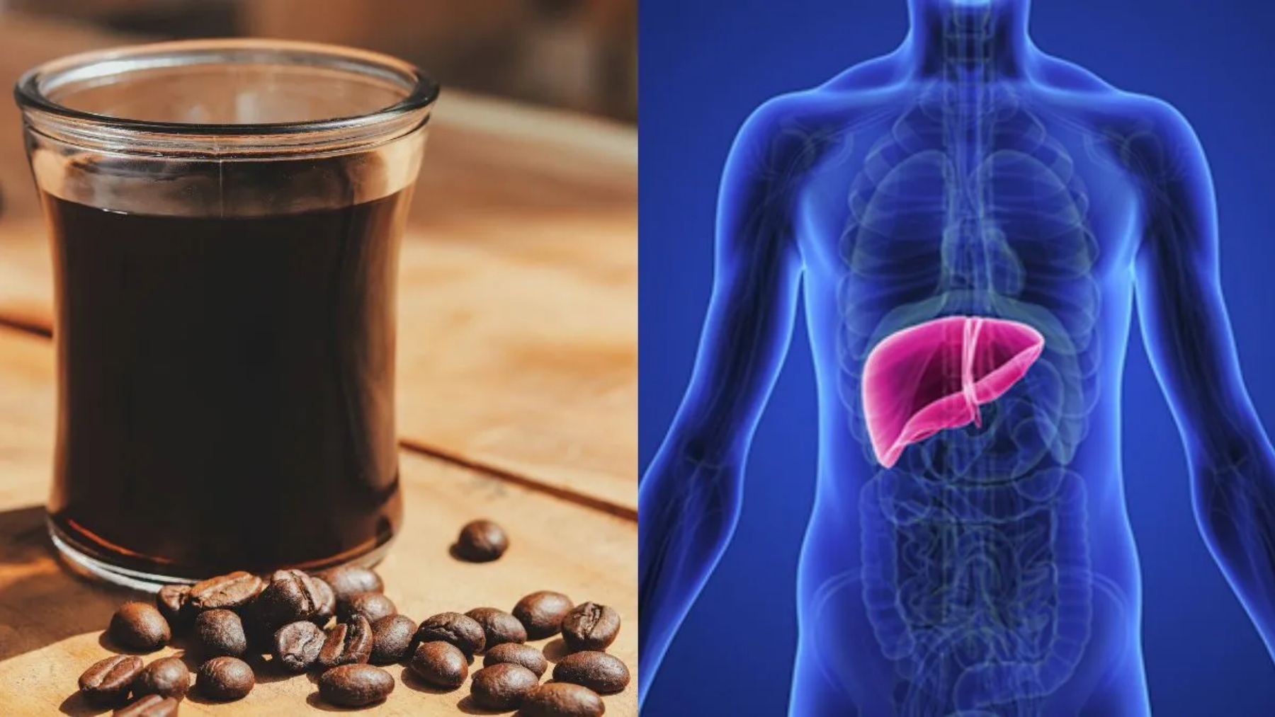 Drinking coffee was always a matter of taste or energy, until the liver entered the picture and turned that habit into a topic of debate